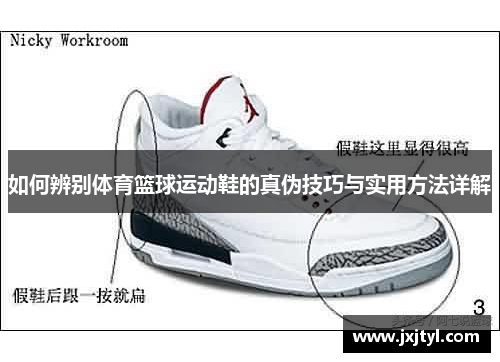 如何辨别体育篮球运动鞋的真伪技巧与实用方法详解